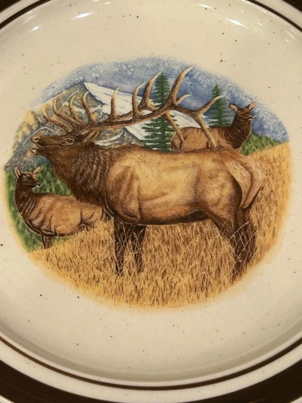 Cabelas folkcraft stoneware